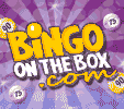 bingo on the box